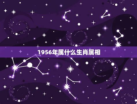 1956年生肖|1956年属什么生肖